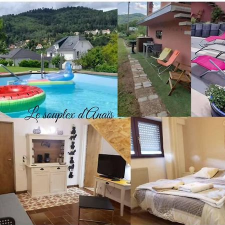 Bed and Breakfast Le Souplex D'Anais Schirmeck Esterno foto