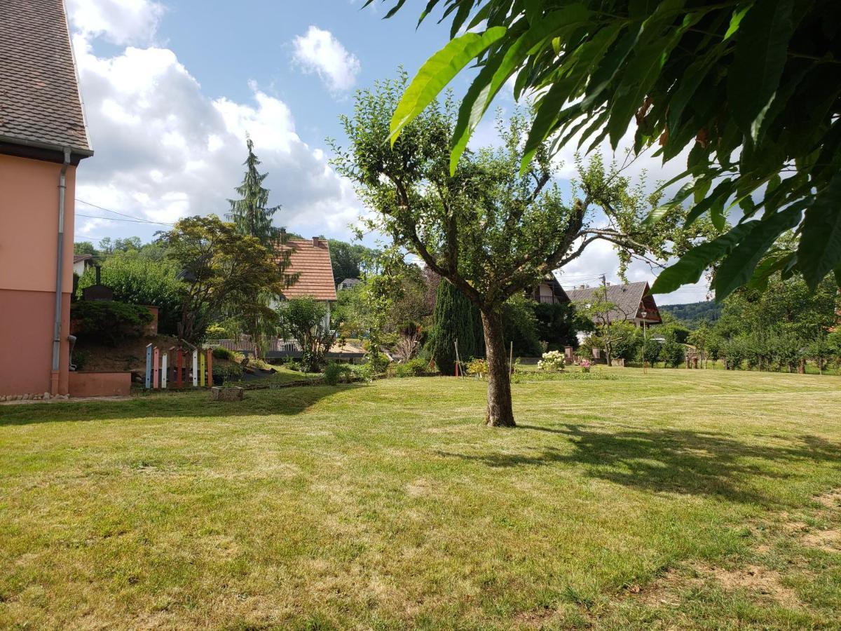 Bed and Breakfast Le Souplex D'Anais Schirmeck Esterno foto