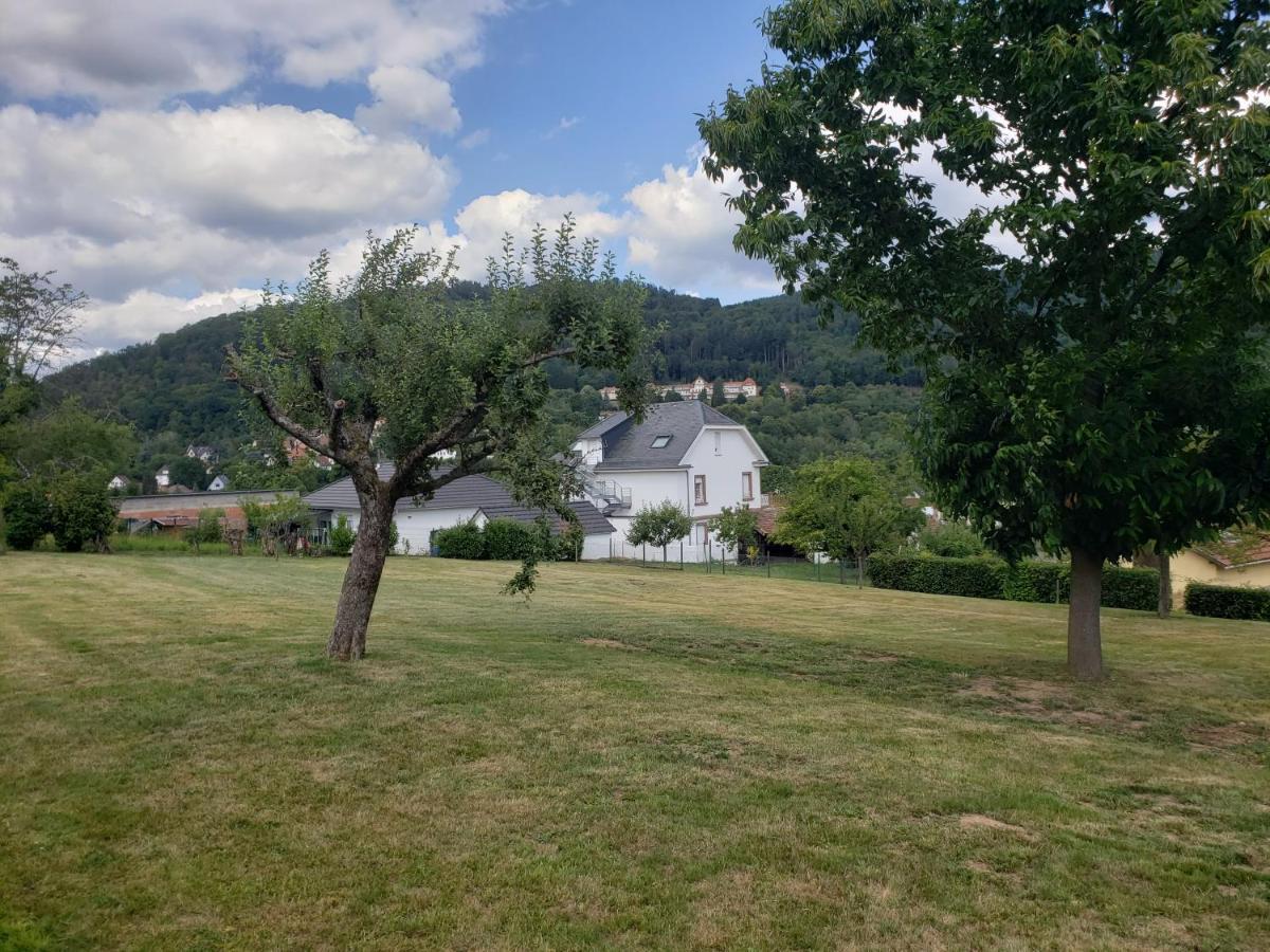Bed and Breakfast Le Souplex D'Anais Schirmeck Esterno foto